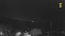 Webcams