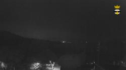 Webcams