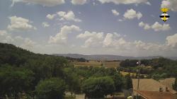 Webcams