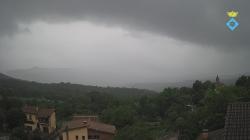 Webcams