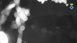 Webcams