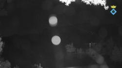 Webcams