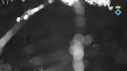 Webcams