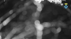 Webcams
