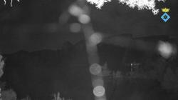 Webcams