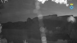 Webcams