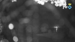 Webcams