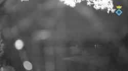 Webcams
