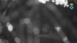 Webcams