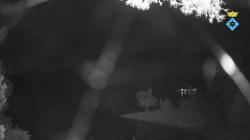 Webcams