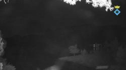 Webcams