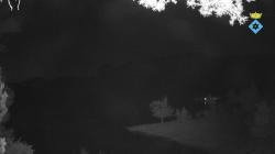 Webcams