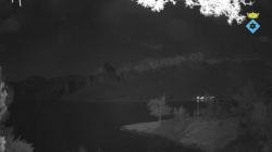 Webcams