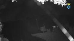 Webcams