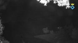 Webcams