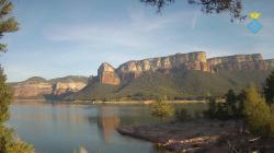 Webcams