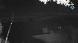 Webcams