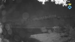 Webcams