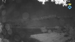 Webcams