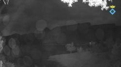 Webcams