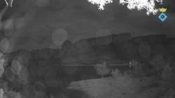 Webcams