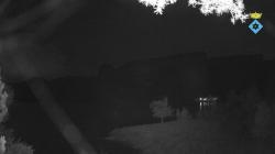 Webcams
