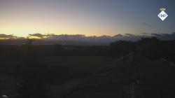 Webcams