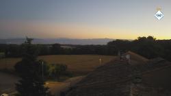 Webcams